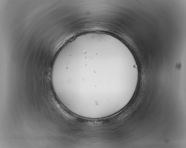 X0000113180793200909251440