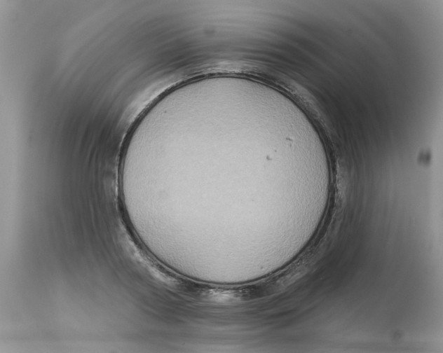 X0000113180794200909251440
