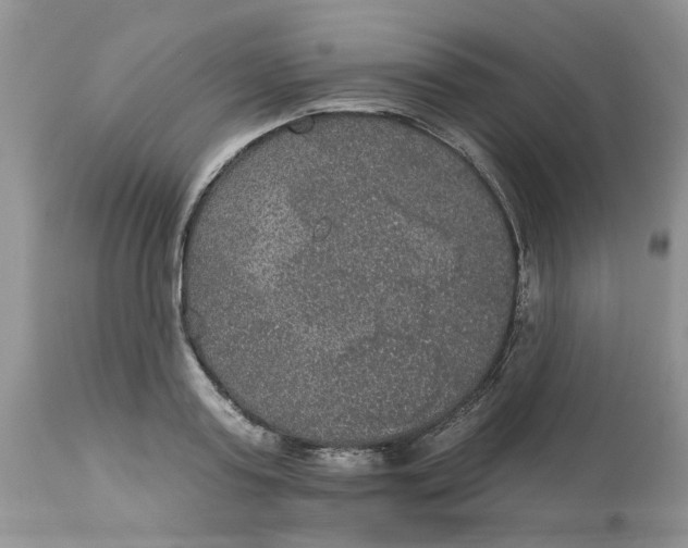 X0000113180795200909251440