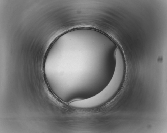 X0000113180797200909251440