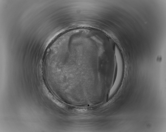 X0000113180798200909251440
