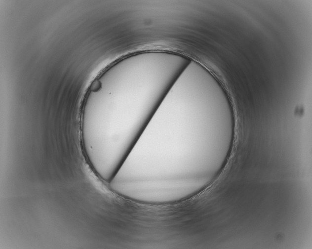 X0000113180800200909251440