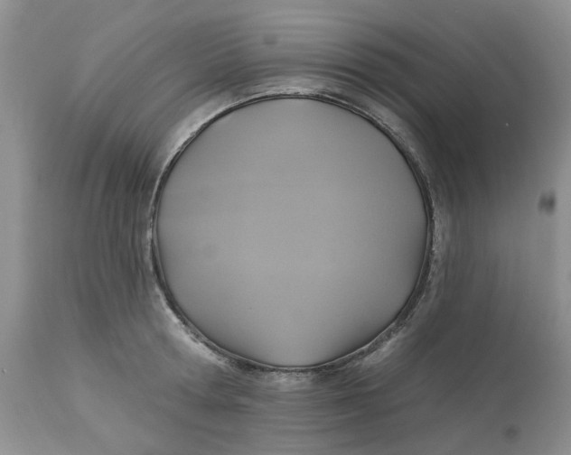 X0000113180802200909251440