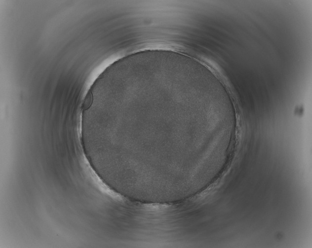 X0000113180804200909251440