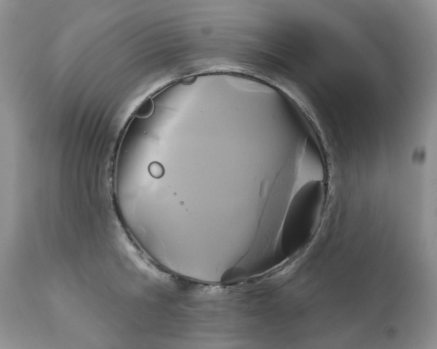X0000113180806200909251440