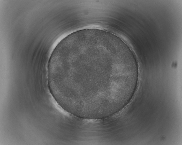 X0000113180808200909251440