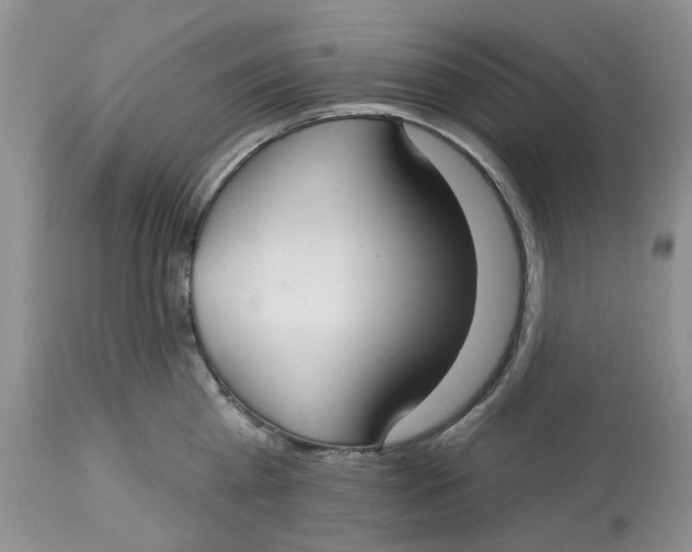 X0000113180809200909251440