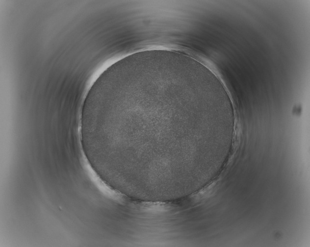 X0000113180811200909251440