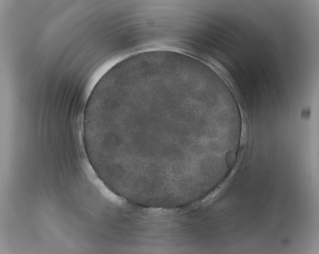 X0000113180812200909251440