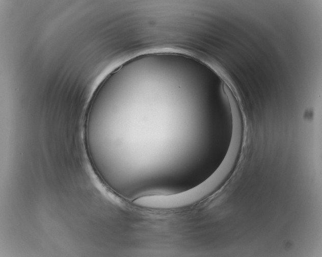 X0000113180813200909251440
