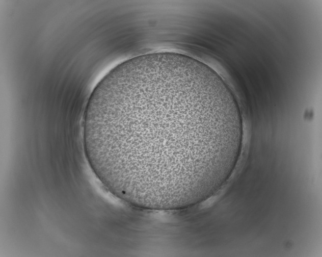 X0000113180814200909251440