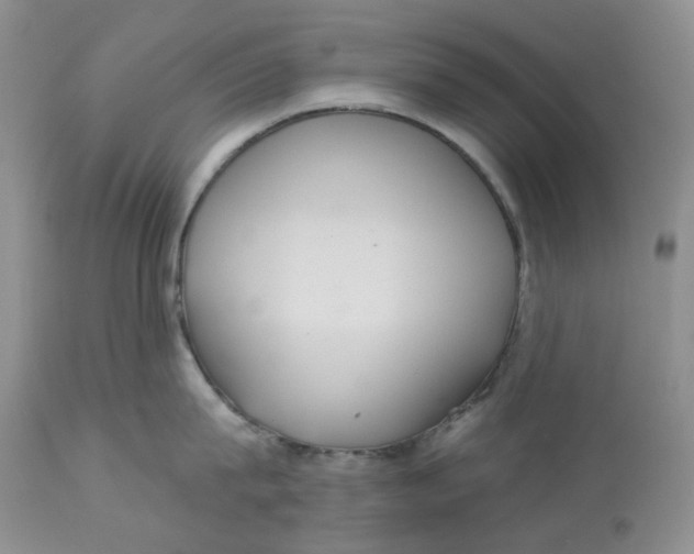 X0000113180815200909251440