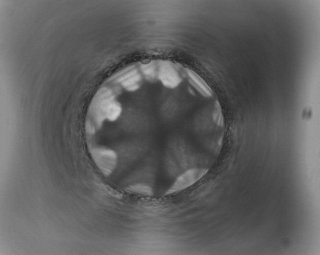 X0000113180817200909251439