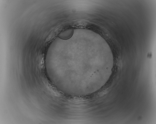X0000113180818200909251439