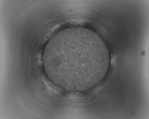 X0000113180819200909251439