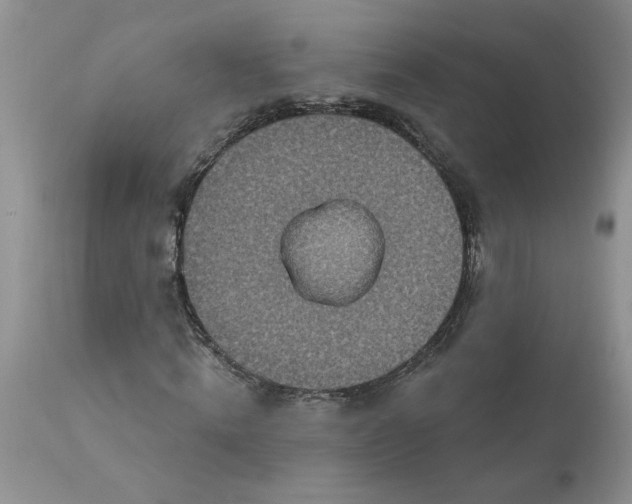 X0000113180820200909251439