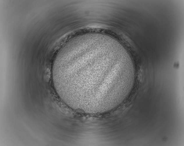 X0000113180821200909251439