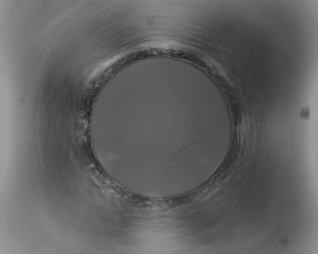 X0000113180822200909251439
