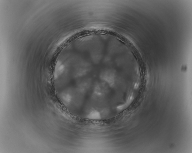 X0000113180823200909251439