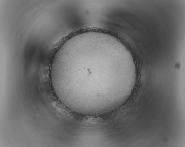 X0000113180824200909251439