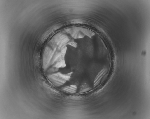 X0000113180825200909251439