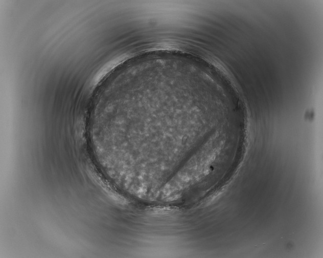 X0000113180826200909251439