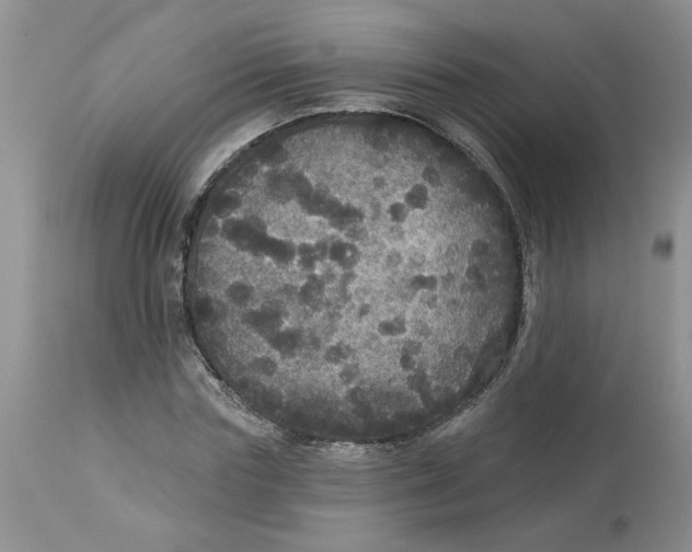 X0000113180827200909251439