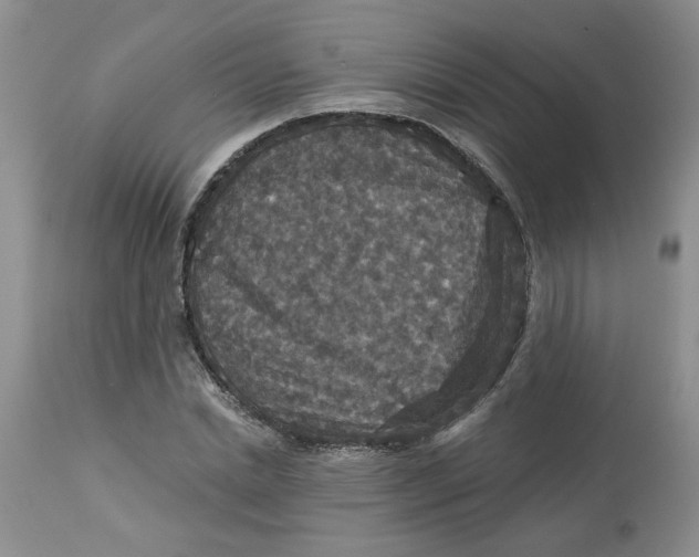 X0000113180830200909251439