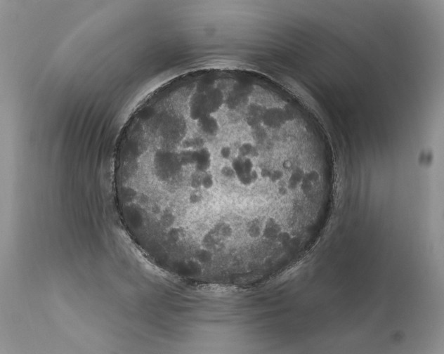 X0000113180831200909251439