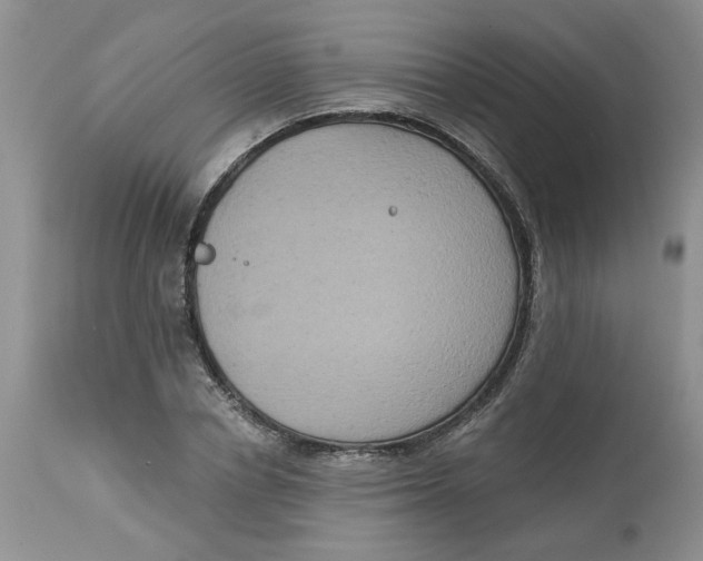 X0000113180834200909251440