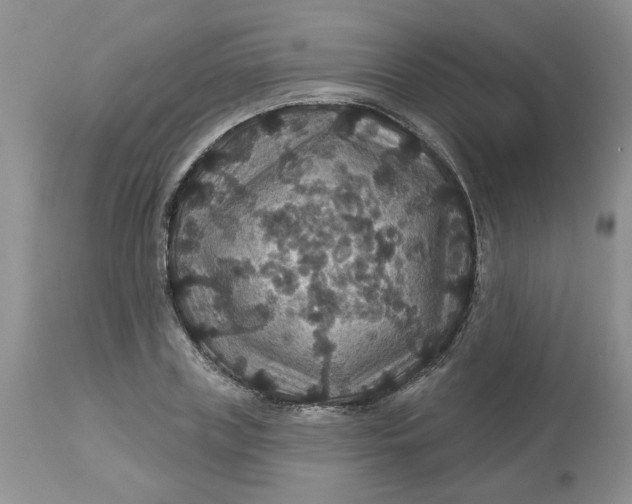 X0000113180835200909251440