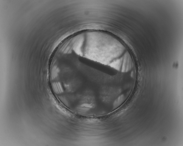 X0000113180837200909251440