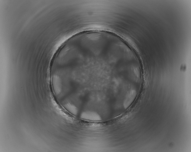 X0000113180839200909251440