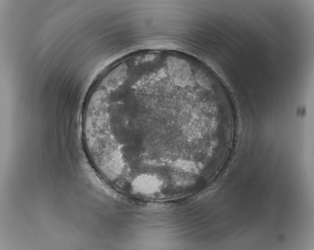 X0000113180840200909251440