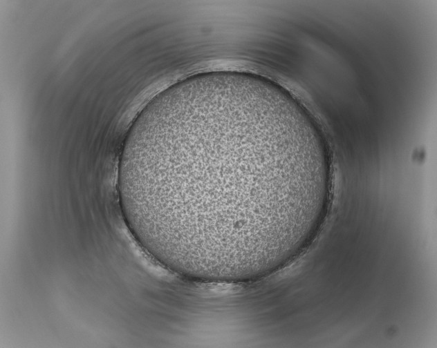 X0000113180841200909251440