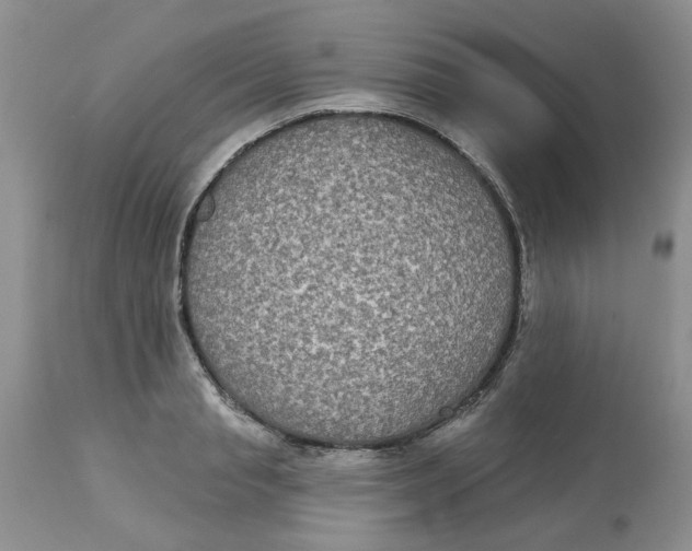 X0000113180845200909251440