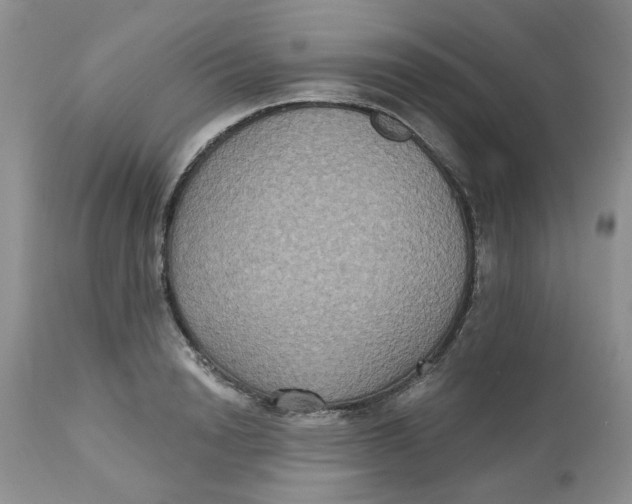 X0000113180846200909251440
