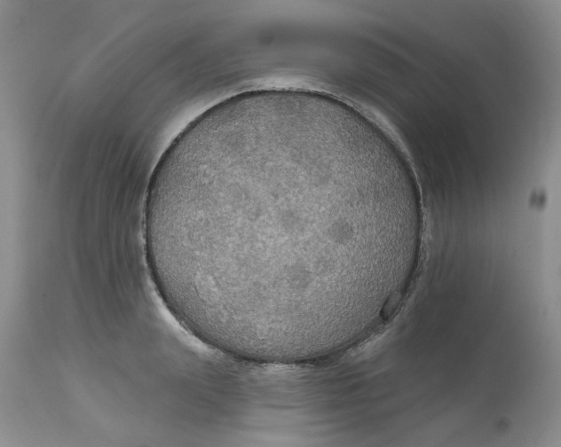 X0000113180847200909251440