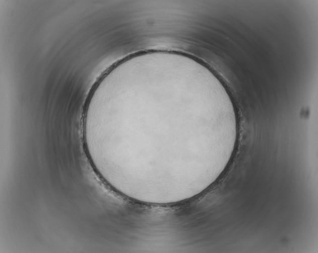 X0000113180848200909251440