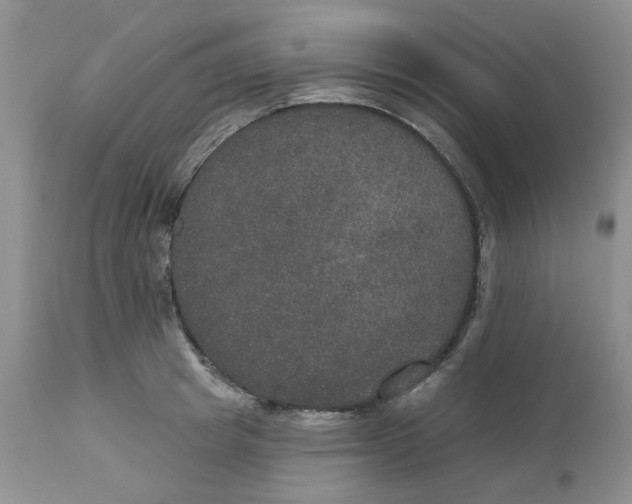 X0000113180849200909251440
