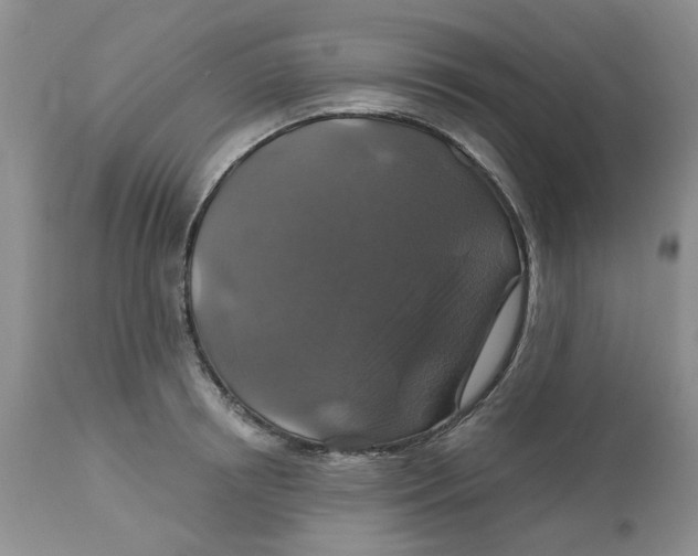 X0000113180850200909251440