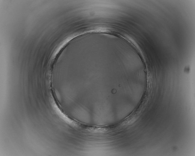 X0000113180851200909251440
