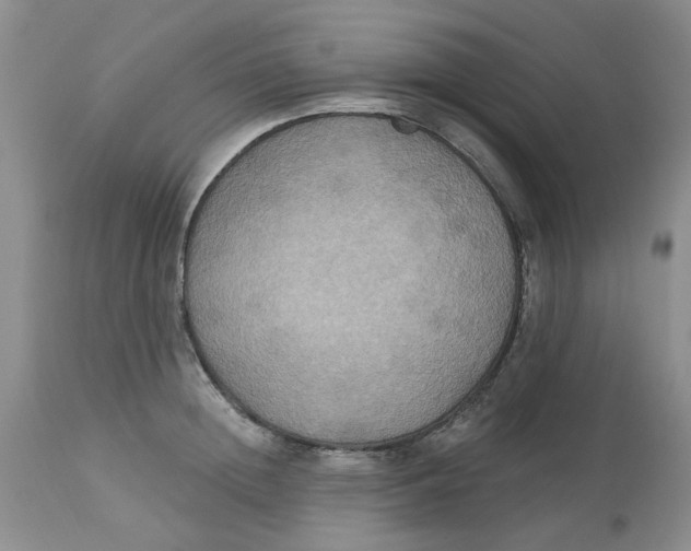 X0000113180852200909251440