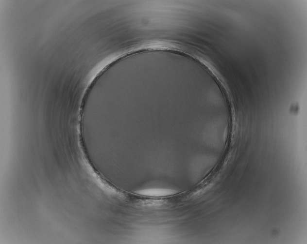 X0000113180853200909251440