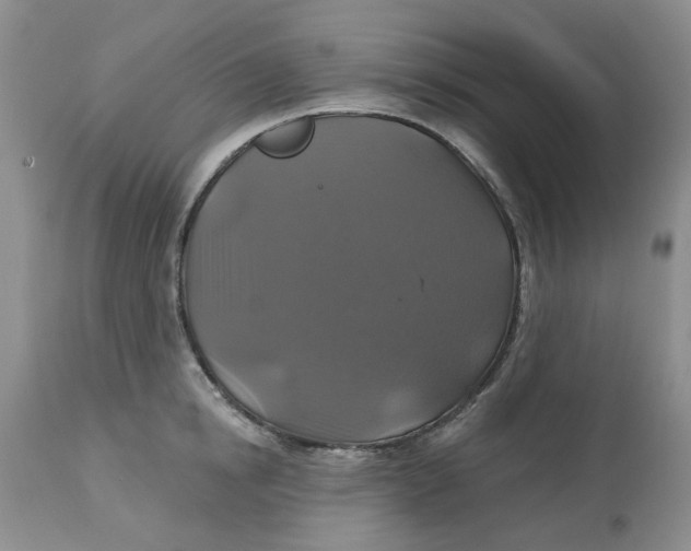 X0000113180854200909251440