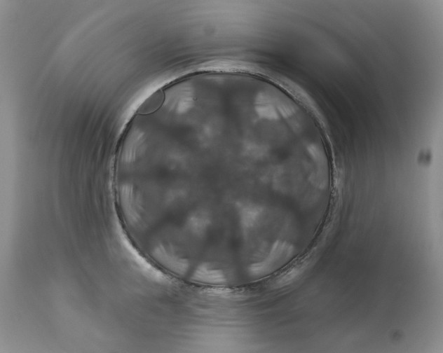 X0000113180855200909251440