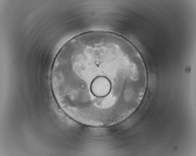 X0000113180856200909251440
