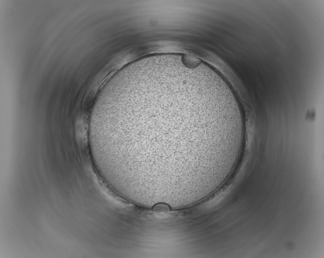 X0000113180857200909251440