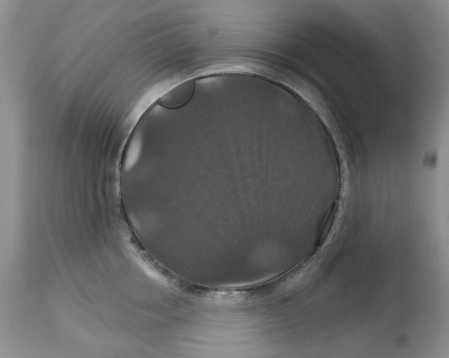 X0000113180858200909251440