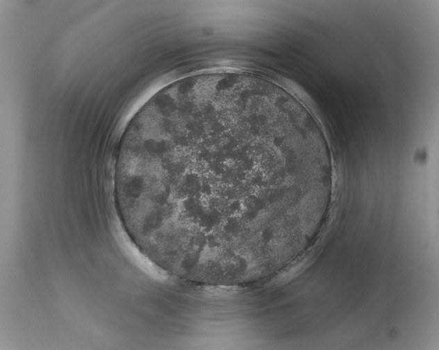 X0000113180859200909251440